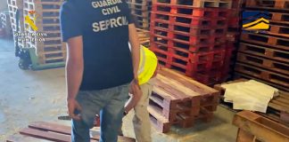 La Guardia Civil detiene a más de cien personas en la lucha contra la propagación de plagas forestales