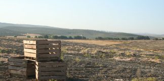 Pide a la Confederación Hidrográfica del Guadalquivir el adelanto del desembalse para los ajeros