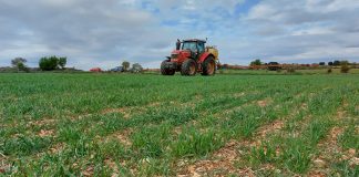 Castilla-La Mancha abonará en los próximos días diversas ayudas a agricultores y ganaderos campo