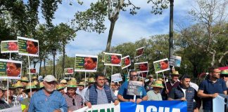 Quinientos agricultores se concentran en Sevilla para pedir el adelanto de la campaña de riego