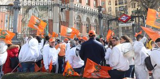 Un millar de apicultores protestan en Madrid por su situación crítica Manifestación apicultores