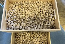 Recomienda a agricultores no precipitarse a la hora de vender sus pistachos pistacho