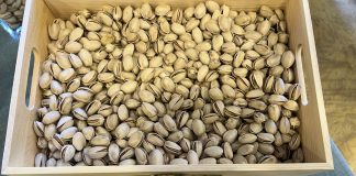 ¿Cómo han comenzado el año 2024 los precios en origen de los pistachos? pistacho