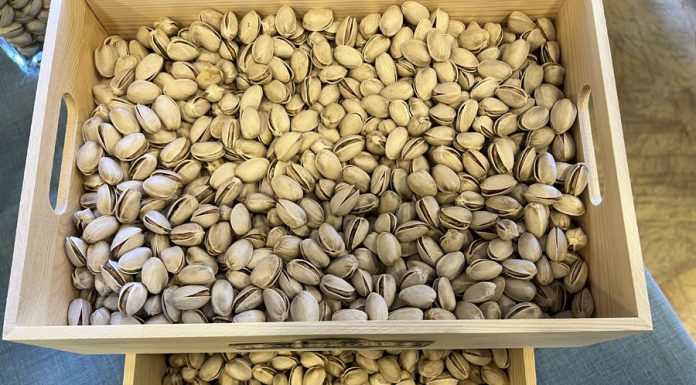 Recomienda a agricultores no precipitarse a la hora de vender sus pistachos pistacho