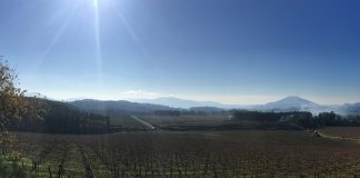 El aprovechamiento de los restos de poda de viña sigue creciendo Proyecto Sarmiento