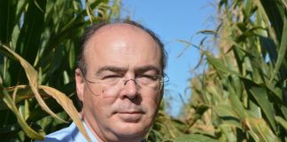 “La biotecnología abre al sector del maíz unas opciones increíbles; perfeccionará las plantas y las hará más resistentes y eficientes”