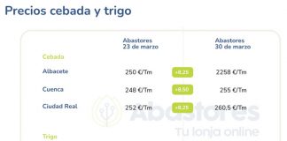 Se frena la caída de precios: Repunte y semana estable en el mercado del cereal