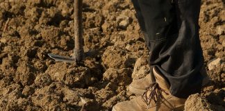 Critica que el paquete normativo de la nueva PAC “no está listo para su aplicación”