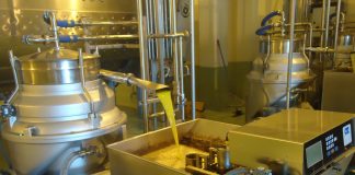 Los precios en origen del aceite de oliva caen a la mitad en dos meses ante el temor de productores aceite de oliva