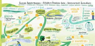 Crean una calculadora gratuita para optimizar el uso de fertilizantes en cultivos