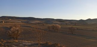 La sequía asfixia los cultivos de secano y complica la gestión de la PAC a miles de agricultores y ganaderos