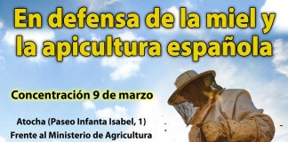 Catástrofe apícola: el sector unido convoca una gran concentración en Madrid