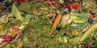 La importancia de la correcta gestión de residuos para generar un buen compost compost
