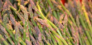 Otro sector agrario que no encuentra mano de obra: el espárrago