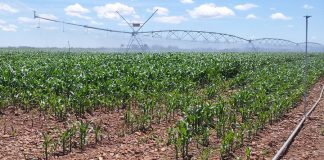 Considera que la quema controlada de restos agrícolas y el regadío eficiente no interfieren en el cambio climático