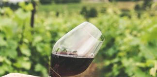 Denominación de Origen Rioja acuerda un ajuste de los rendimientos de producción de uva para las vendimias 2023 y 2024 vino