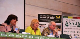 Las explotaciones de olivar, obligadas a reinventarse