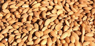 Siguen las repeticiones generalizadas de precios en todas las variedades de almendra almendras