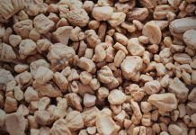 Huesos de aceituna, de residuo agrícola a energía renovable huesos de aceituna