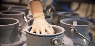 En España cierran 66 explotaciones de vacuno de leche al mes