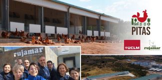 Universidad de Castilla-La Mancha y la empresa Rujamar promoverán la avicultura sostenible y la mejora del bienestar de las aves