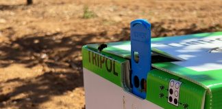 Vídeo. Polinización de almendro en Castilla-La Mancha utilizando colmenas de abejorros polinización abejorros