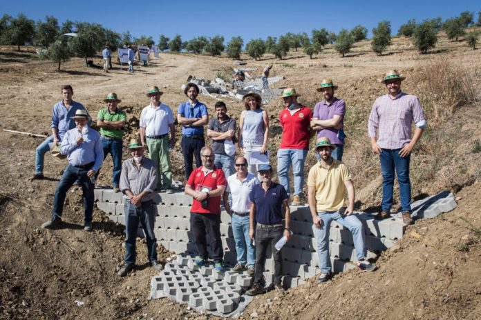 PROYECTO OLIVOS INNOLIVAR