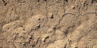 ASAJA solicita la convocatoria urgente de la Mesa Nacional de la Sequía