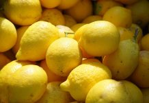 El Ministerio de Agricultura publica los contratos-tipo de limones y pomelos para las tres próximas campañas limones