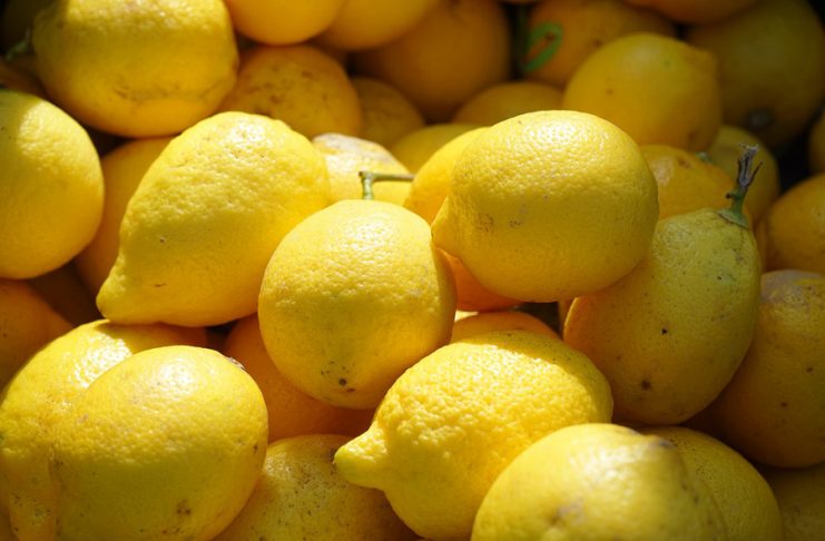 El Ministerio de Agricultura publica los contratos-tipo de limones y pomelos para las tres próximas campañas limones