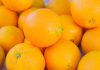 Exige activar las salvaguardias ante el enorme aumento de las importaciones de pequeños cítricos de Sudáfrica naranjas