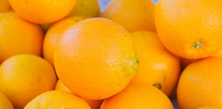 Exige activar las salvaguardias ante el enorme aumento de las importaciones de pequeños cítricos de Sudáfrica naranjas
