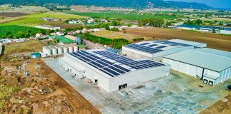 El presidente de Dcoop ve el aceite como un sector estratégico y liga su futuro al agua Dcoop