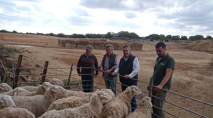 Europa inspeccionará la incidencia de la viruela ovina y caprina en Castilla-La Mancha Santiago Lucas-Torres
