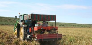Lamentan que las inspecciones de trabajo han criminalizado al sector agrario ajos