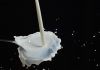 COAG pide a Mercadona que recule y no se sume a la guerra de precios de la leche leche