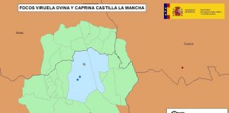 Confirmado un nuevo foco de viruela ovina y caprina en Castilla-La Mancha viruela ovina