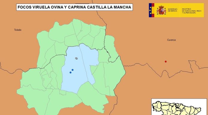 Confirmado un nuevo foco de viruela ovina y caprina en Castilla-La Mancha viruela ovina