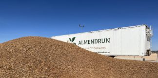 Los precios de la almendra repiten y los de los pistachos suben ALMENDRAS