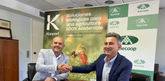 Anecoop impulsará con Koppert el control biológico como fundamento para la gestión sostenible de plagas Anecoop impulsará con Koppert el control biológico