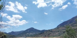 Piden a la a la Confederación Hidrográfica del Guadalquivir que se retome el desembalse de agua para salvar la cosecha de aceituna olivar