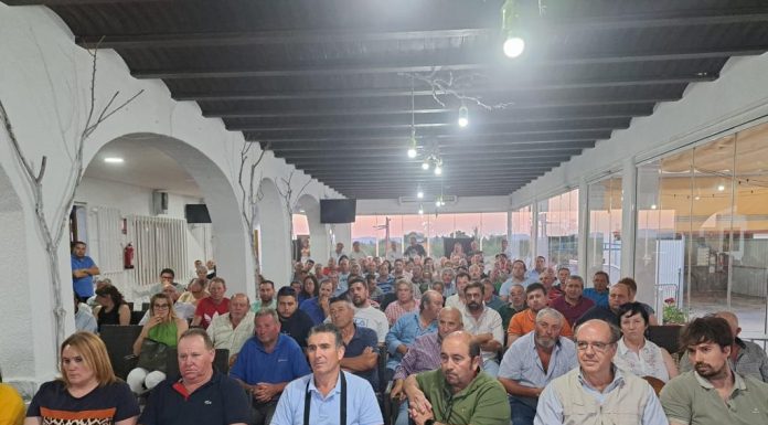 Ganaderos de Castilla-La Mancha piden levantar las restricciones por viruela ovina y que se investigue quiénes son los culpables de este brote REUNIÓN GANADEROS