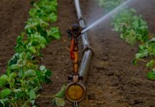 Eficiencia hídrica en la industria agroalimentaria: de obligación ambiental a ventaja estratégica sistema de riego