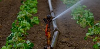 Por dónde pasa el futuro del regadío, según la Inteligencia Artificial sistema de riego