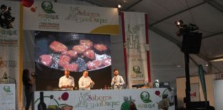 Galería de imágenes del intenso fin de semana de actividades en FERDUQUE 2023