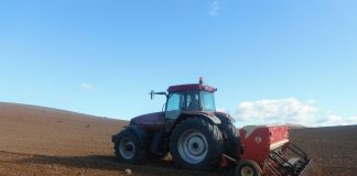 ¿Qué excepciones se permiten por la sequía en las obligaciones de la PAC 2023? laboreo