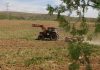 Agroseguro continúa con el pago de indemnizaciones a productores de cultivos herbáceos sequía