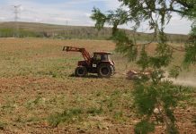 Agroseguro continúa con el pago de indemnizaciones a productores de cultivos herbáceos sequía