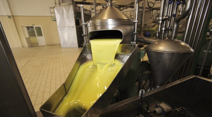 Sin apenas cambios en el precio del aceite de oliva y pequeño aumento en las salidas aceite de oliva virgen extra