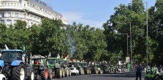 La Asociación de Industrias Vitivinícolas Europeas (AIVE) apoya las protestas de agricultores españoles y europeos tractorada